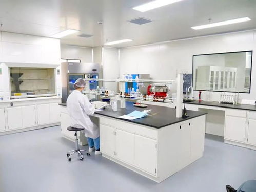 專業(yè)見(jiàn)證 品質(zhì)護(hù)航——走進(jìn)妙可藍(lán)多奶酪工廠，直擊品牌硬實(shí)力